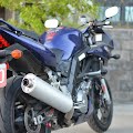DSC_0195.JPG