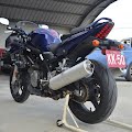 DSC_0485.JPG