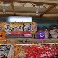 R1095972.JPG