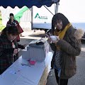 R1096162.JPG