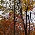 R1096307.JPG