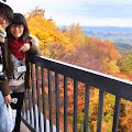 R1096317.JPG