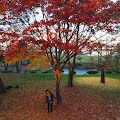 R1096463.JPG