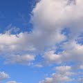 R1096677.JPG