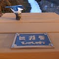 R1096697.JPG
