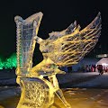 R1097994.JPG
