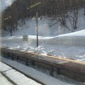 R1098683.JPG